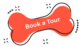 https://samponi-sapice.si/wp-content/uploads/2019/08/book_tour.png