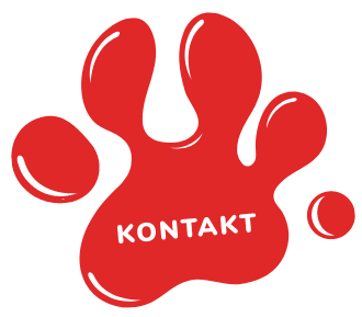 https://samponi-sapice.si/wp-content/uploads/2024/09/Sapica-kontakt.png